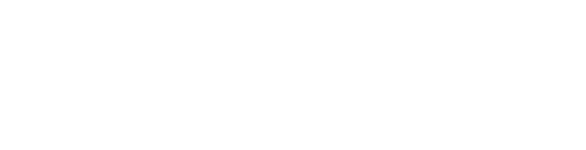Dynami